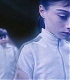 ARC-T305.jpg