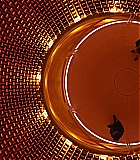 ARC-T592.jpg