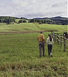 ARC-A009.jpg